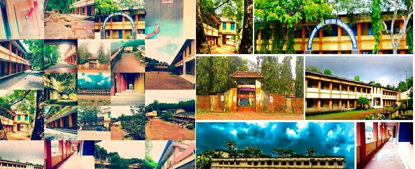 DEVASWOM BOARD COLLEGE, Thalayolaparambu -  Affiliated to Mahathma Gandhi University Kottyam
